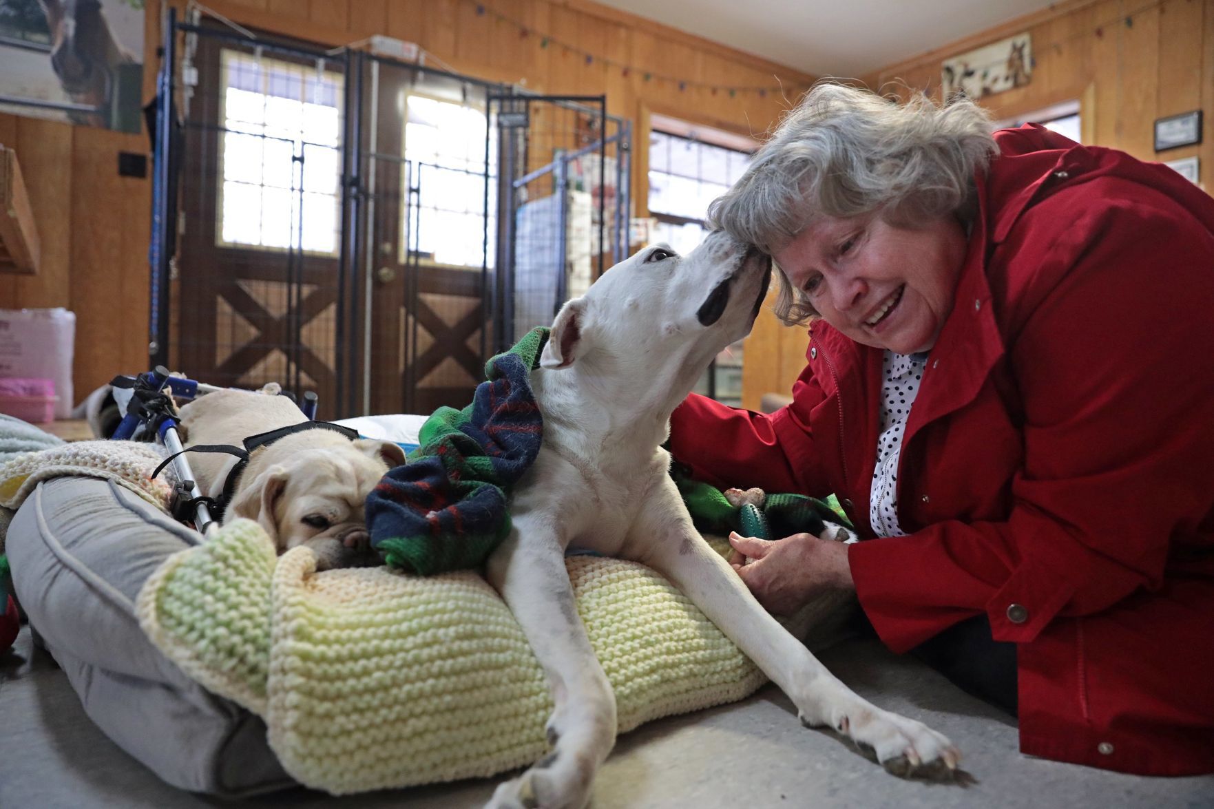 Randy's Rescue Ranch recovers from fire in farmhouse